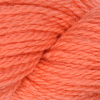 Living Coral (1001)