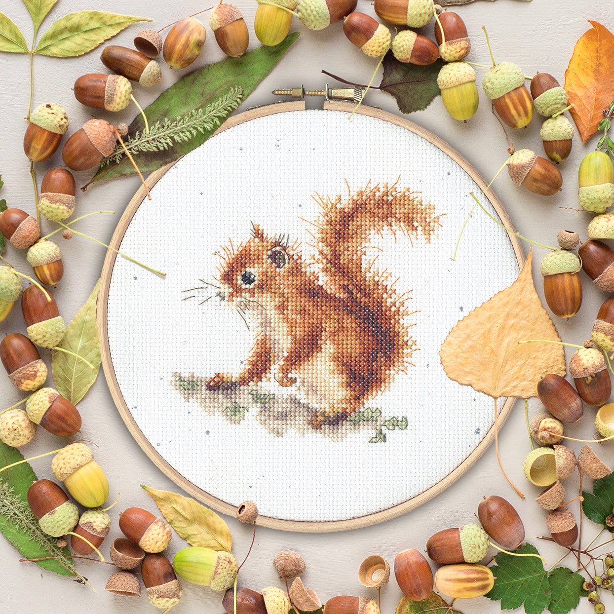 Bothy Threads Acorns Cross Stitch Kit - 15cm circle
