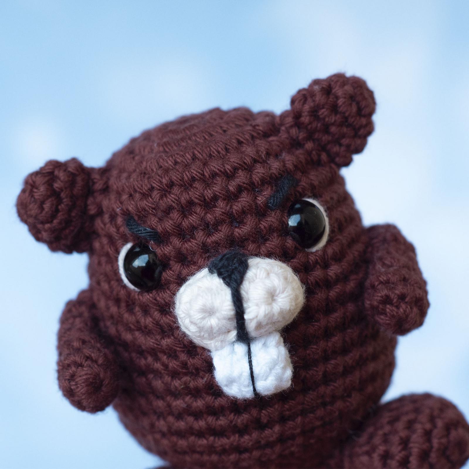 Beaver