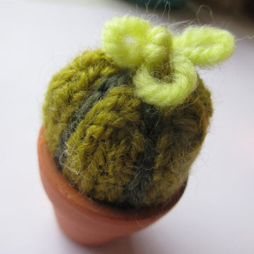Mini Plants in Pots