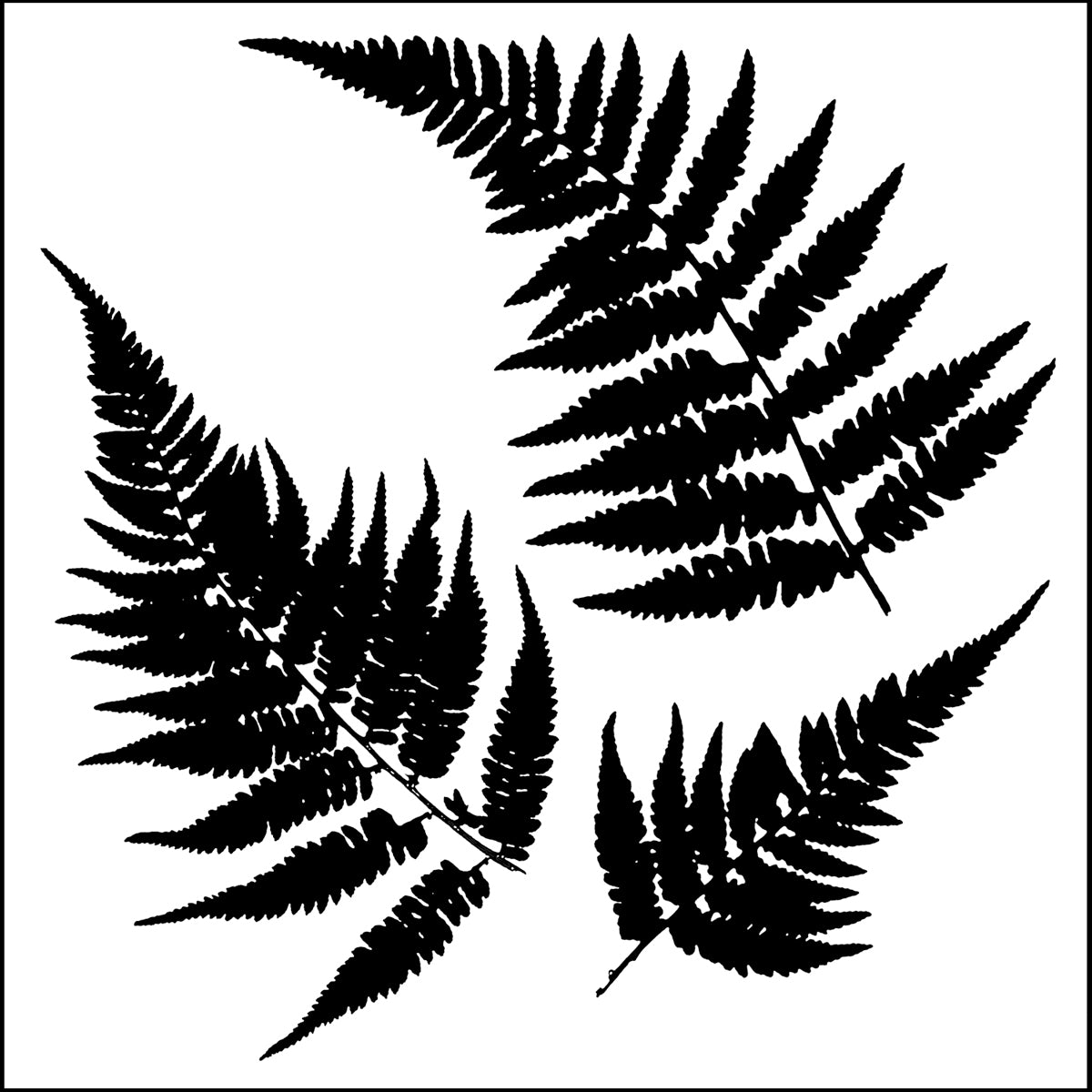 The Crafter's Workshop Crafter's Workshop Template 12"X12" - Ferns