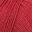 Teddy Red (192)