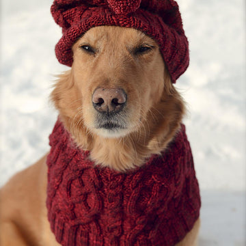Red Riding Cowl