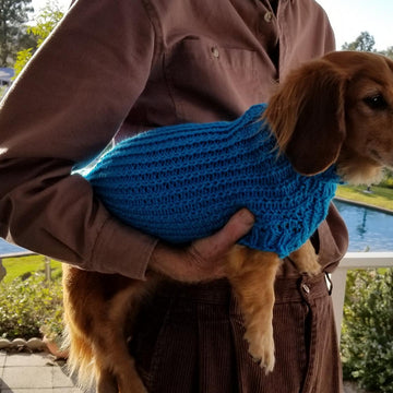 Twisted Rib Mini Doxie Sweater