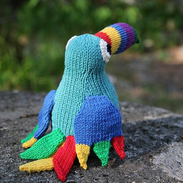 Toucan Tim
