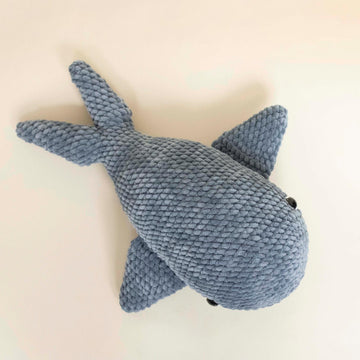 Chunky whale