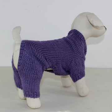 Small Dog Onesie