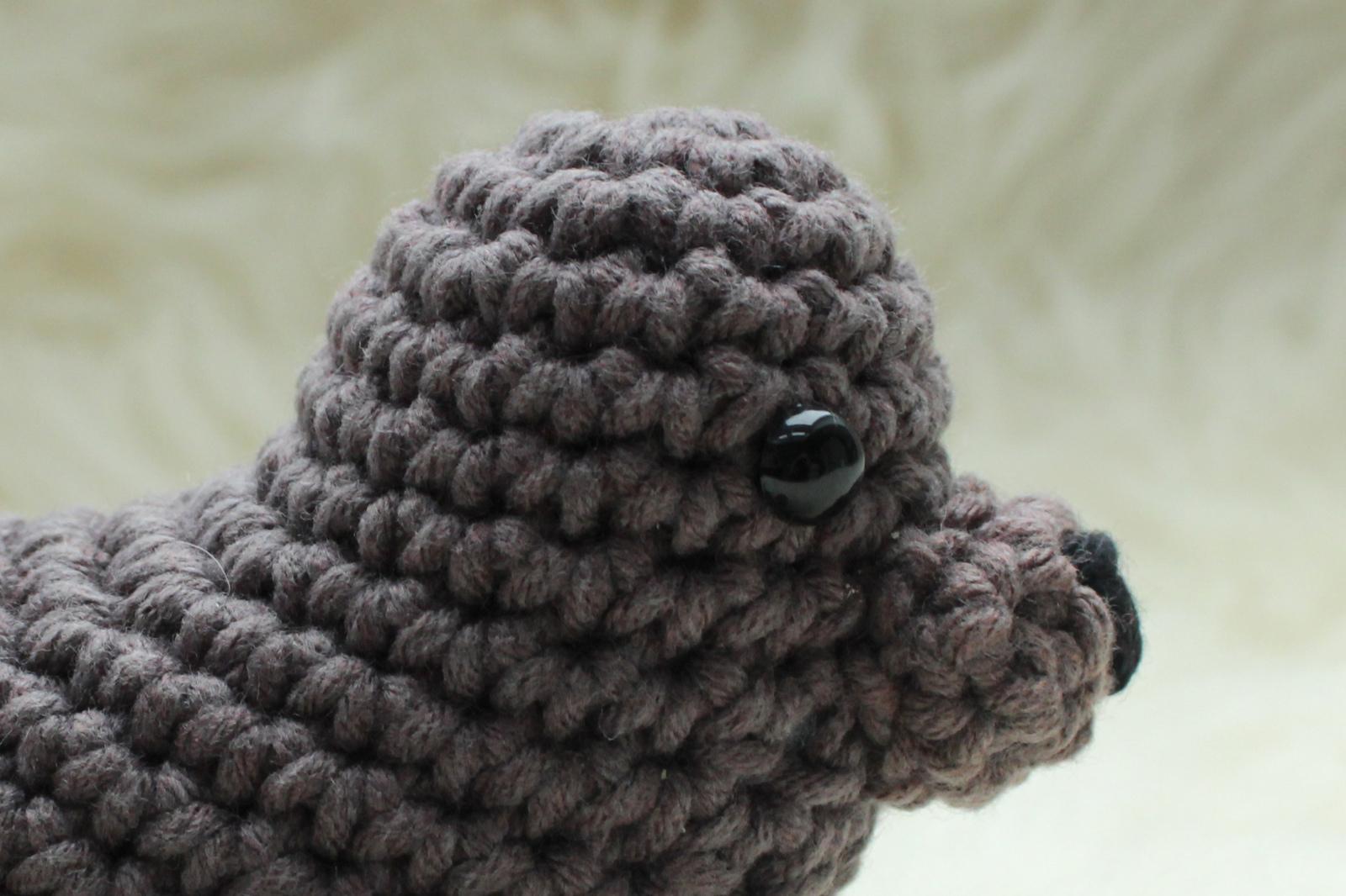 Baby Walrus Wally