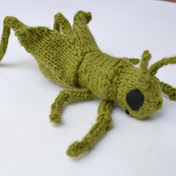Cricket