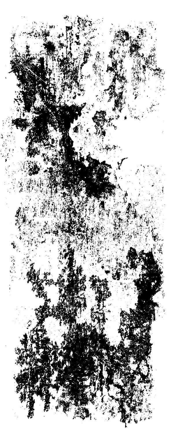Kaisercraft Texture Clear Stamps - Grunged Paint