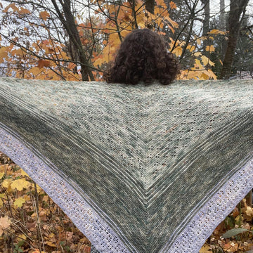 Lover's Lane Shawl