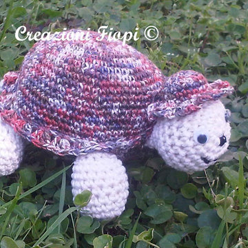 Miss Turtle