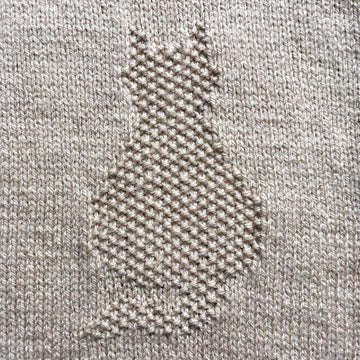 Kittens baby blanket