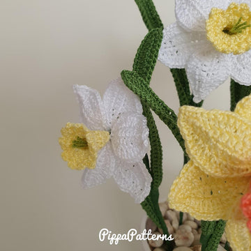 Mini Daffodil
