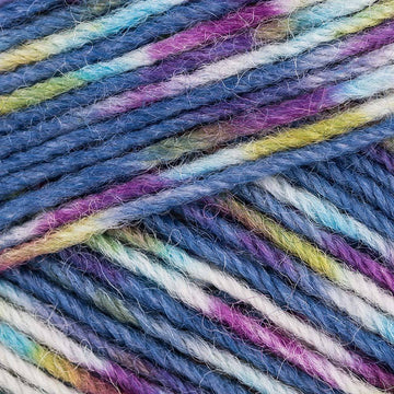 Regia 4 Ply Color 50g