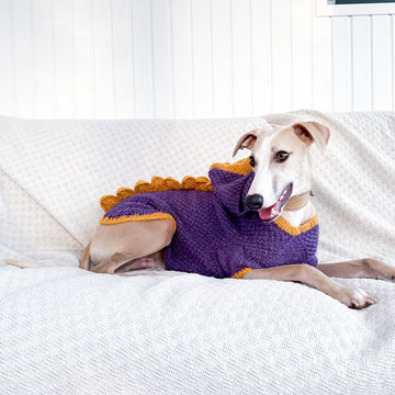 Doggo 16 dragon sweater