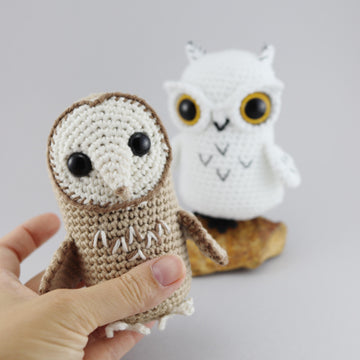 Feathered Owl Friends