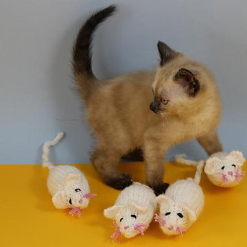 3 Blind Mice Kitten Toy