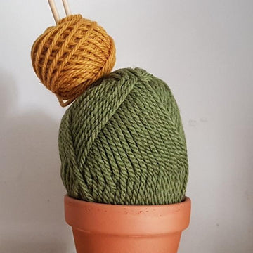 Beginner's Knit a Cactus