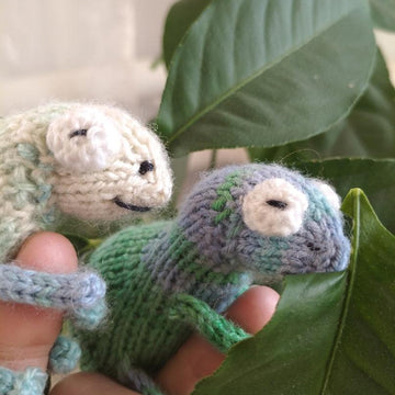 Chameleon knitting pattern