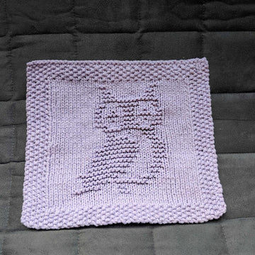 Cute Owl Dishcloth