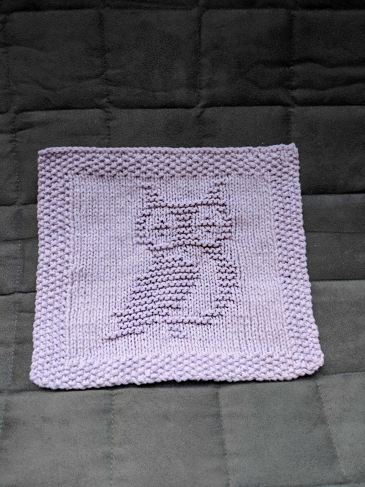 Cute Owl Dishcloth