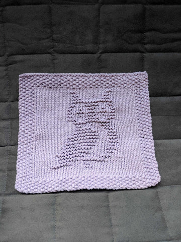 Cute Owl Dishcloth