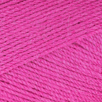 Fuchsia (1679)