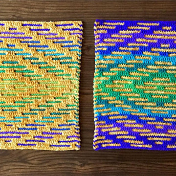 Cactus Garden Pillow set