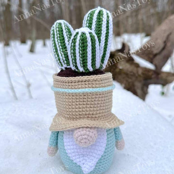 Gnome-cactus in a pot 3