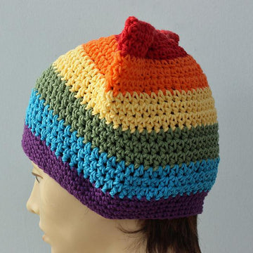 Gay Pride Rainbow Pussy Hat