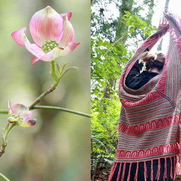 Pōhutukawa Shawl