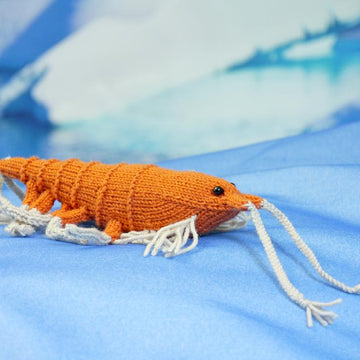 Shrimp / krill NAPOLEON