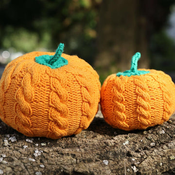 Two Cabled Pumpkins