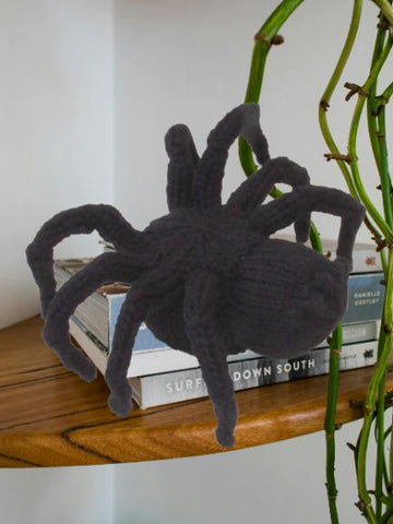 Halloween Spider Chocolate Orange Cosy