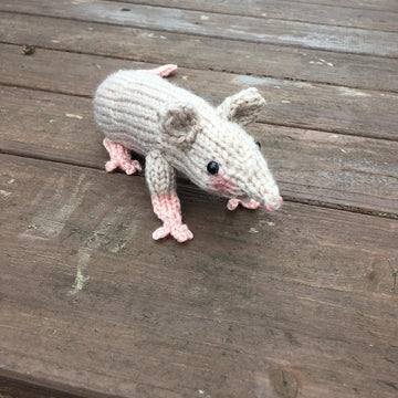 Raymond the Rat