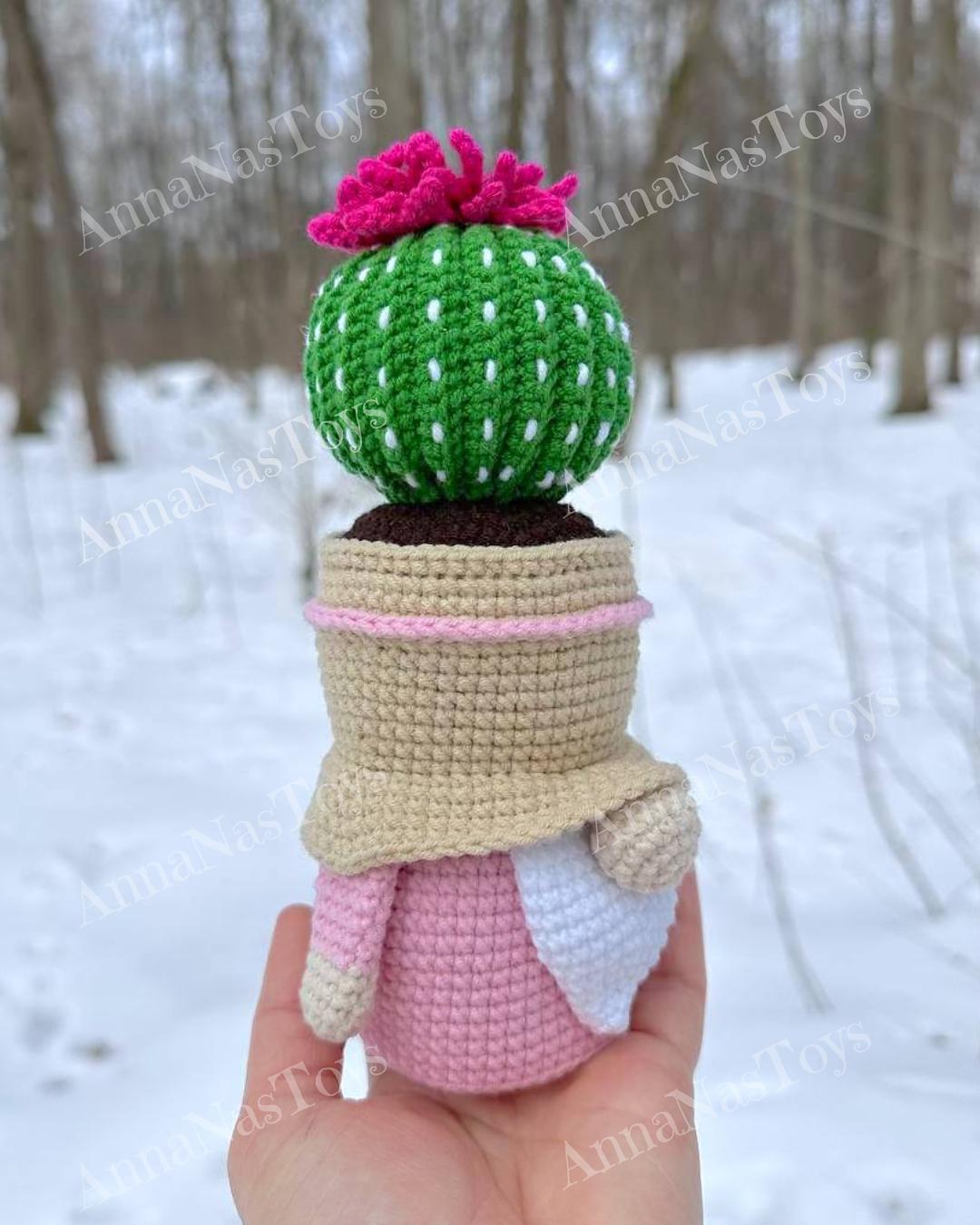 Gnome-cactus in a pot 5