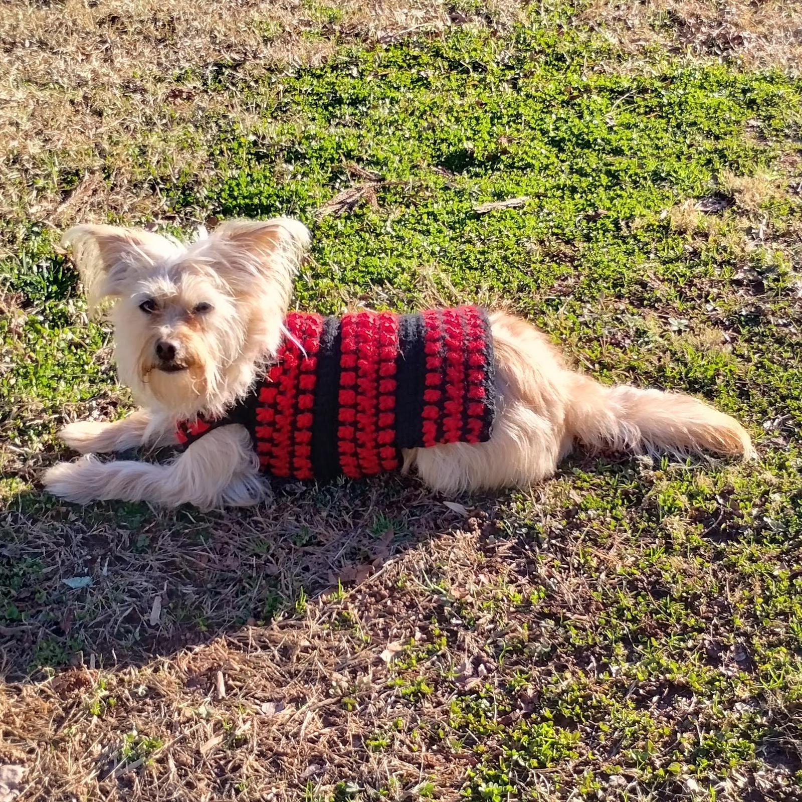 Chunky Lattice Dog Sweater