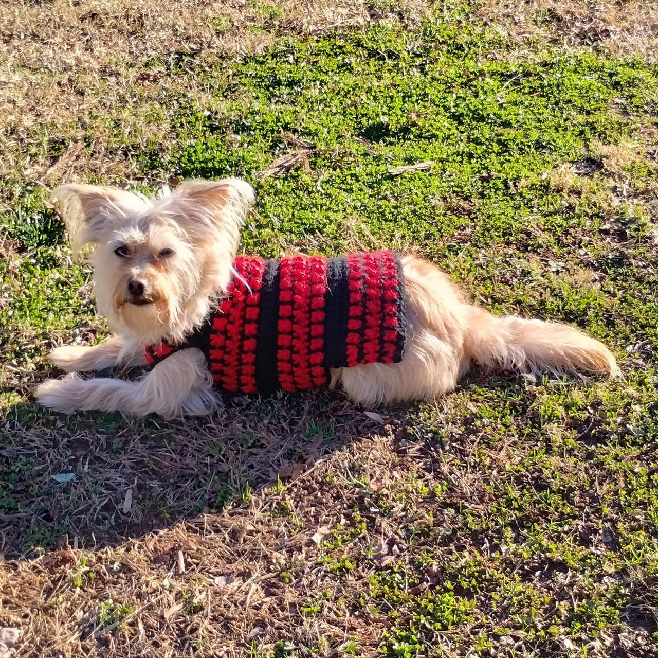 Chunky Lattice Dog Sweater