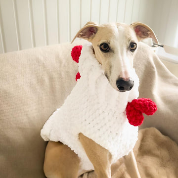 Doggo 21 sweater