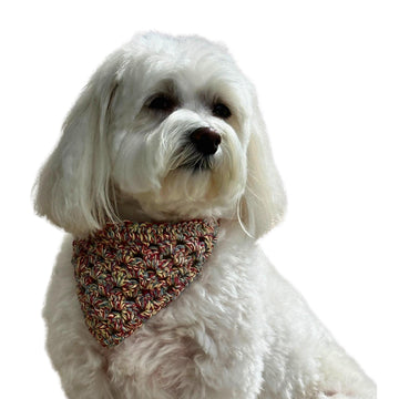 Dog Bandana