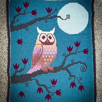 Autumn Moon Owl