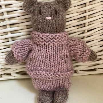Little Bear in Jumper