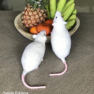 Rat