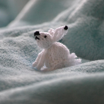 Christmas Arctic Hare