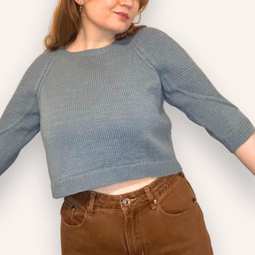 Passerine Feather Raglan Crop Sweater