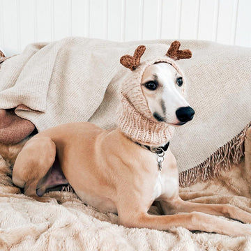 Doggo no 7 snood
