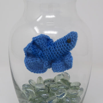 Betta Fish