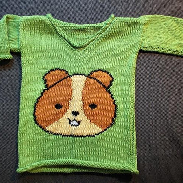 Meerschweinchen-Pulli