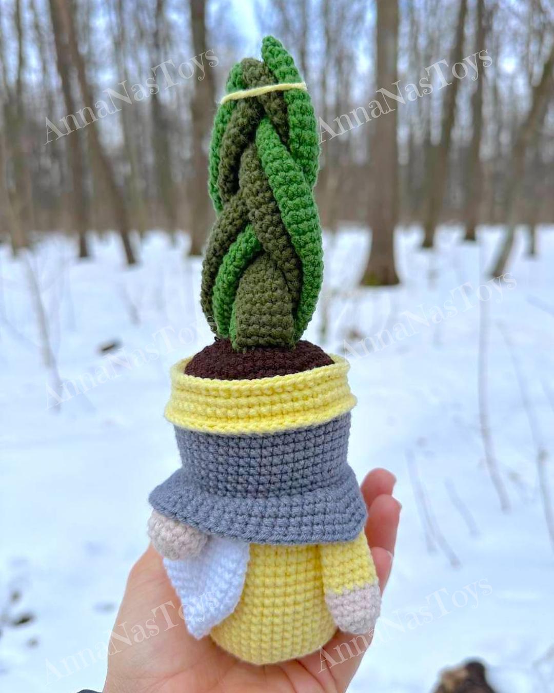 Gnome succulent-sansevieria 2